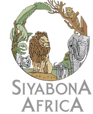 http://manyeleti.krugerpark.co.za